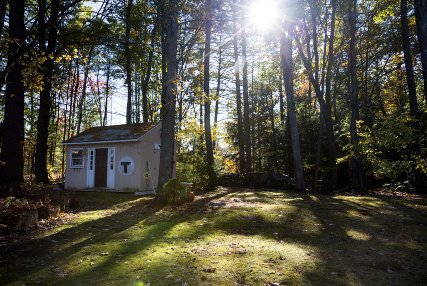 alvirne-nov_7641